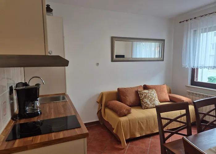 Antolovic 아파트 브르사르