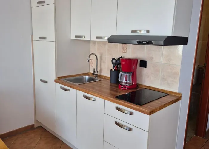 아파트 Antolovic 브르사르