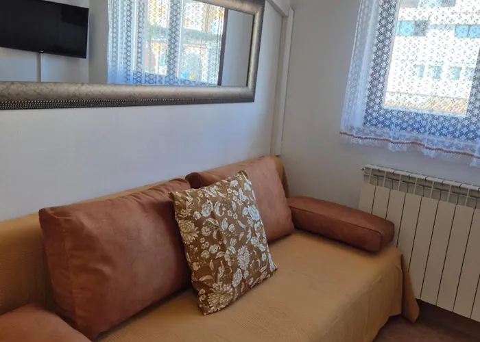 Antolovic 아파트 *