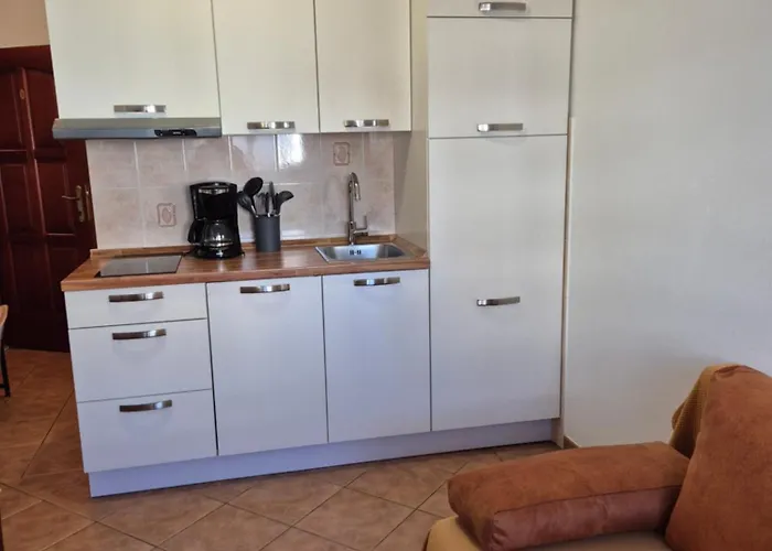 Antolovic 브르사르