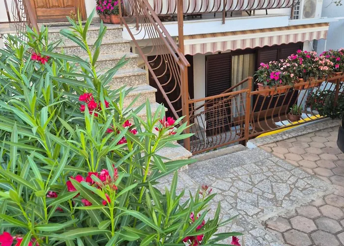 Antolovic 아파트 브르사르