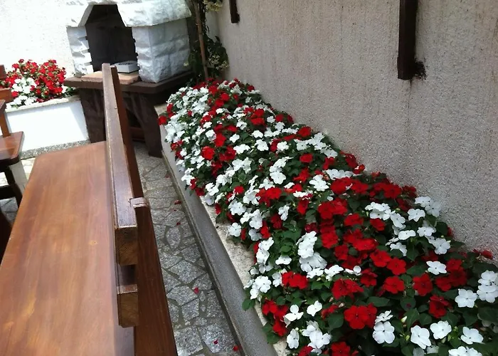 아파트 Antolovic 브르사르