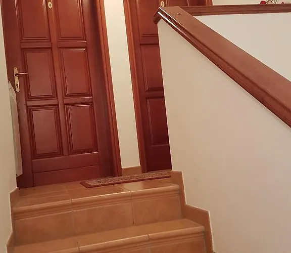 Antolovic 브르사르