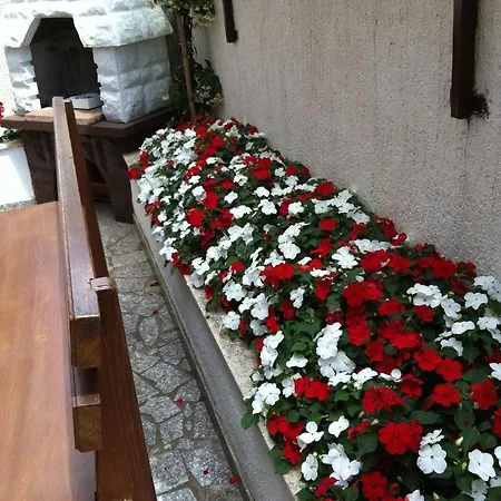 Apartman Antolovic Vrsar